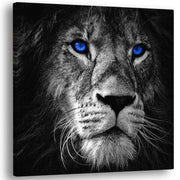 Close-up black and white lion face with striking bright blue eyes printed on square canvas wall art
